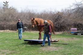 LR-WRF 0402026 Retreat-3548